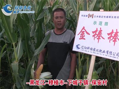 下城子