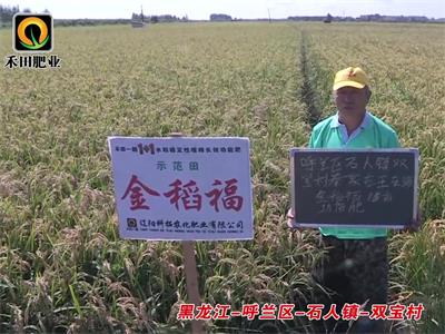 黑龙江-呼兰区-石人镇-双宝村