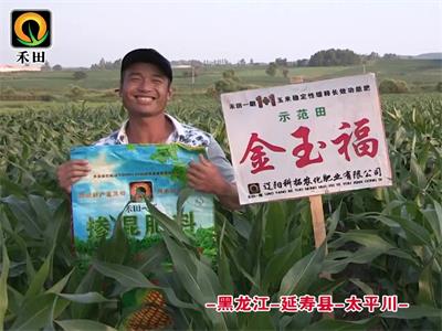 黑龙江-延寿县-太平川-玉米